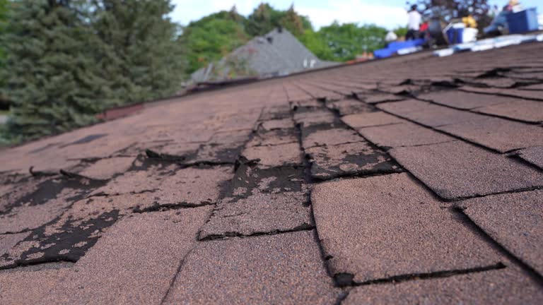 Best Gutter Replacement  in Oregon, IL