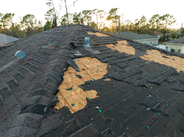 Best Wood Shake Roofing  in Oregon, IL
