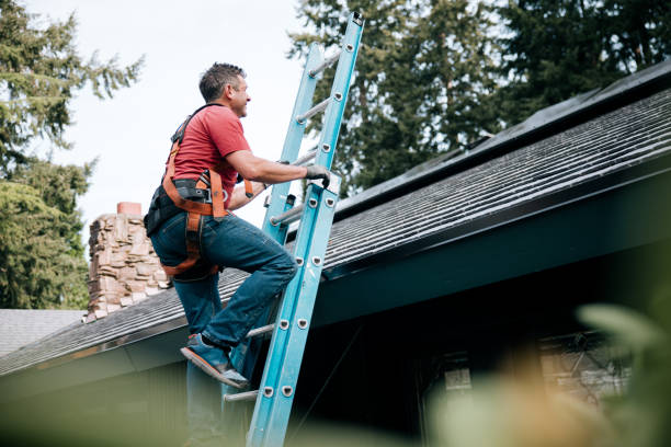 Best Steel Roofing  in Oregon, IL